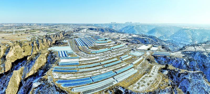 《隴東報(bào)》特刊·縣區(qū)觀察 | 冬閑人不閑 產(chǎn)業(yè)煥新顏 ——合水縣特色產(chǎn)業(yè)發(fā)展見(jiàn)聞