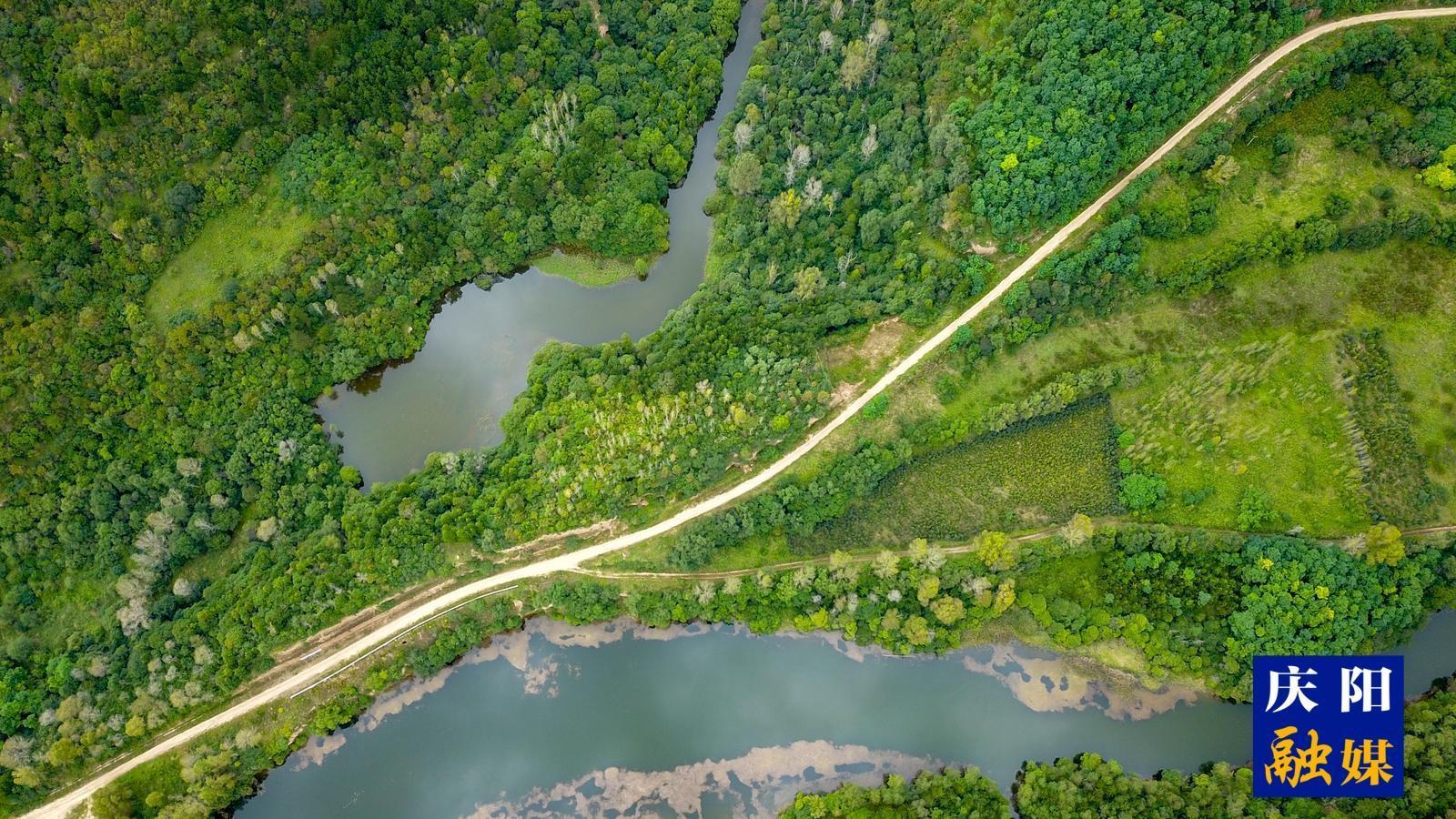 慶陽市筑牢生態(tài)安全屏障增強(qiáng)綠色發(fā)展動(dòng)能