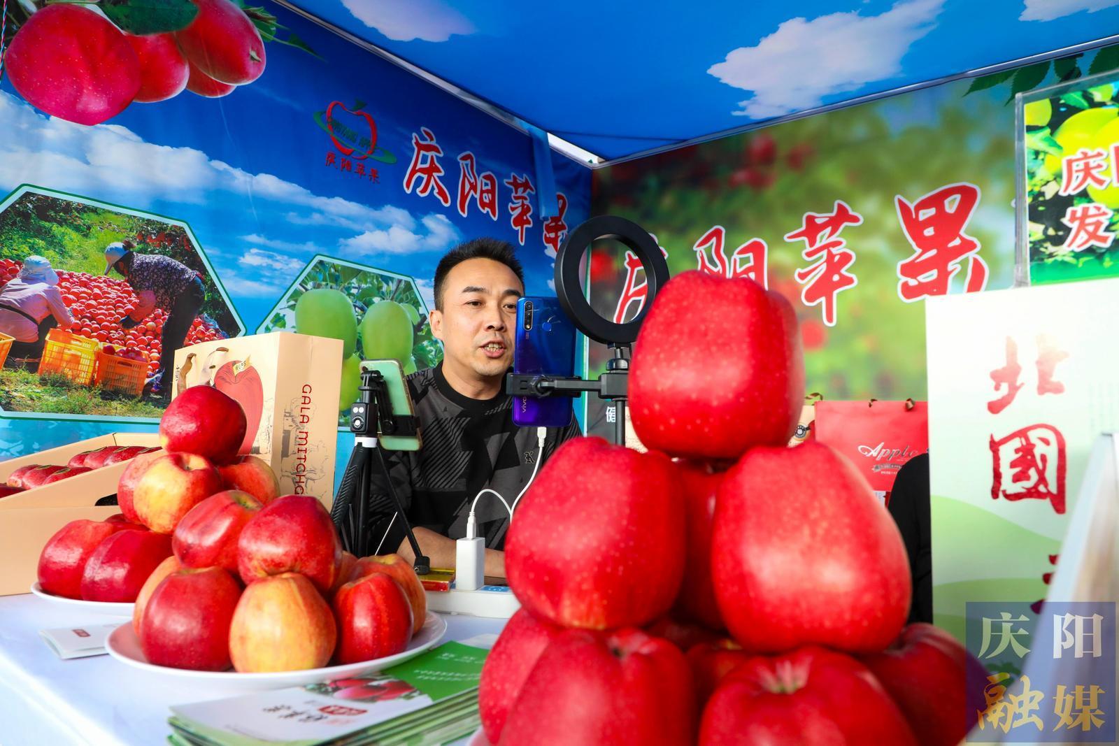 慶陽蘋果2025產(chǎn)季量銷價(jià)齊升 數(shù)據(jù)見證產(chǎn)業(yè)發(fā)展向新向好