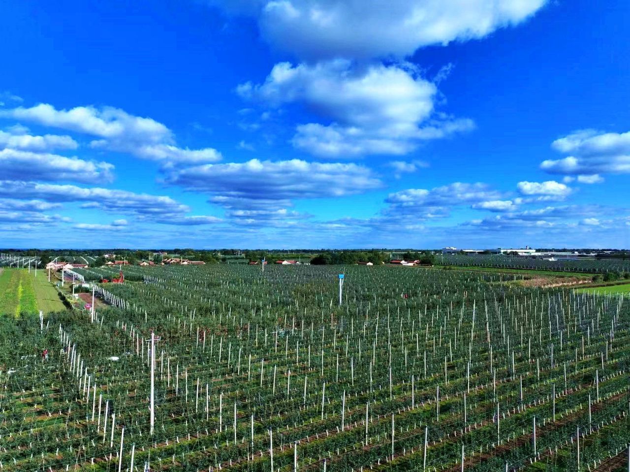 善金潤紅土 振興譜新篇 ——中央專項彩票公益金賦能寧縣革命老區(qū)高質量發(fā)展紀實