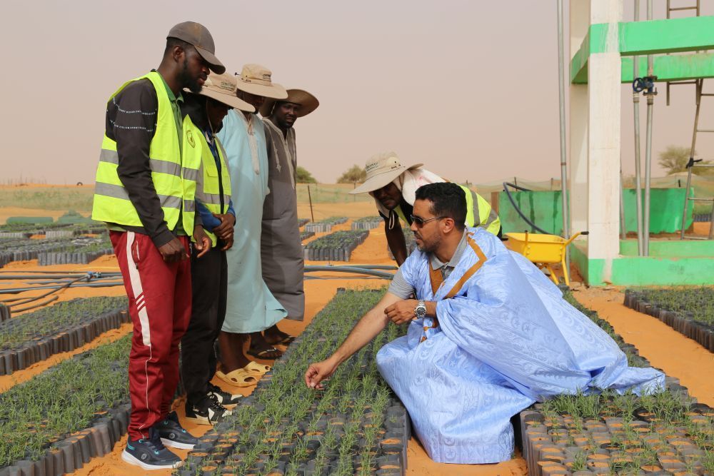 特稿｜同心七十載 聚力新未來——中非攜手共逐發(fā)展振興夢