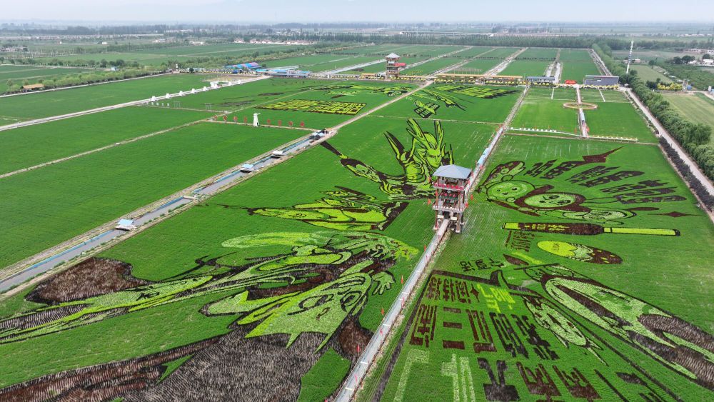 習(xí)近平總書記關(guān)切事｜幸?；ㄩ_新農(nóng)家