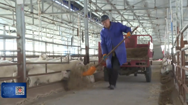 《慶陽新聞》2026年2月8日