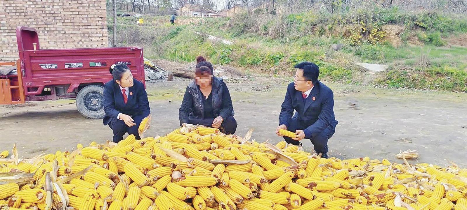 【法治慶陽】正寧縣人民法院周家人民法庭：“調(diào)立審執(zhí)訪”五位一體賦能基層治理