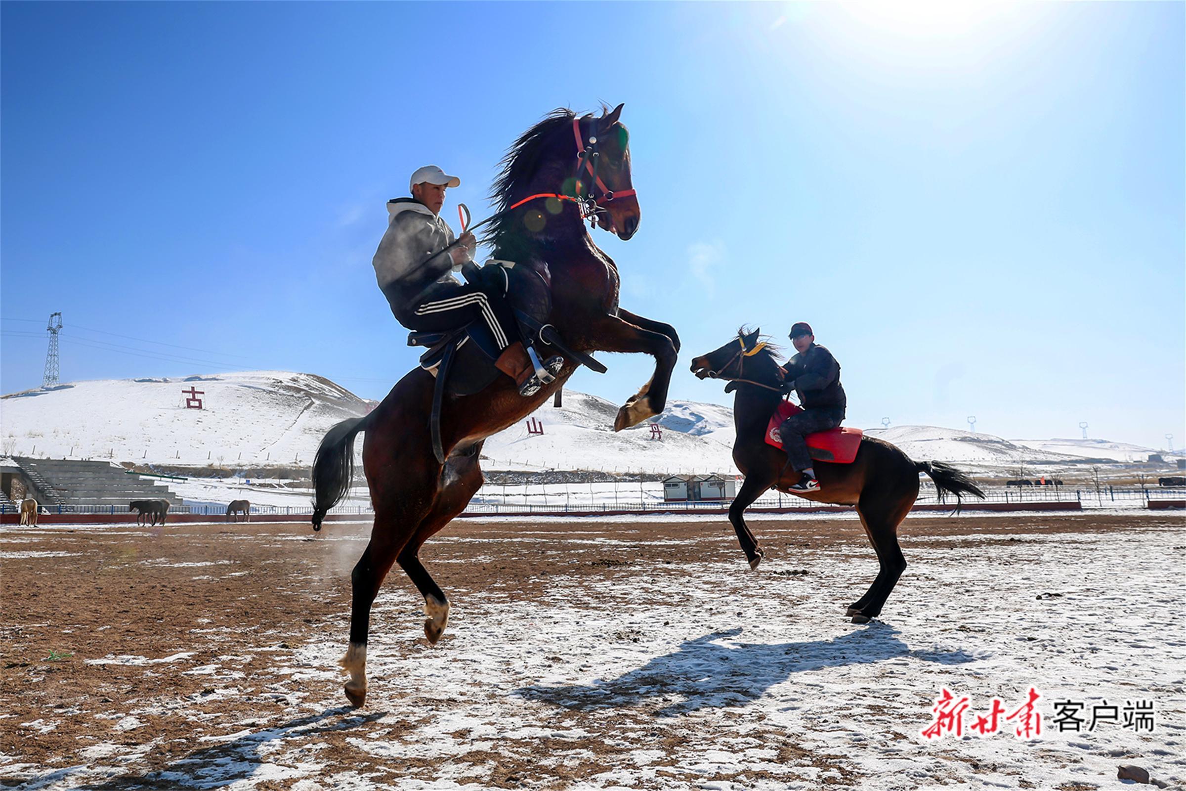 【新春走基層】從皇家馬場(chǎng)到“絲路馬都”：山丹的“馬基因”千年奔騰