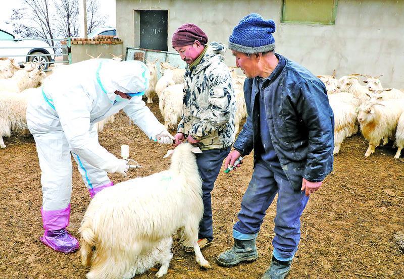 《隴東報》專版·鄉(xiāng)村振興 | 科技、黨建、工廠、產業(yè)齊發(fā)力，書寫慶陽鄉(xiāng)村振興新篇章！