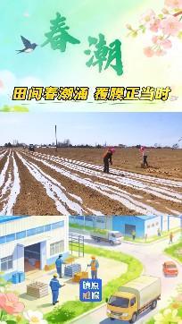 【春啟隴東 耕繪新篇】鎮(zhèn)原：田間春潮涌 覆膜正當時