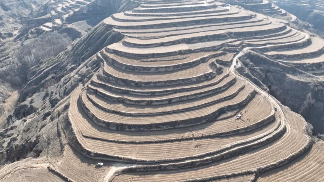 新城鎮(zhèn) ：人勤春早啟新程 多點(diǎn)發(fā)力抓春耕