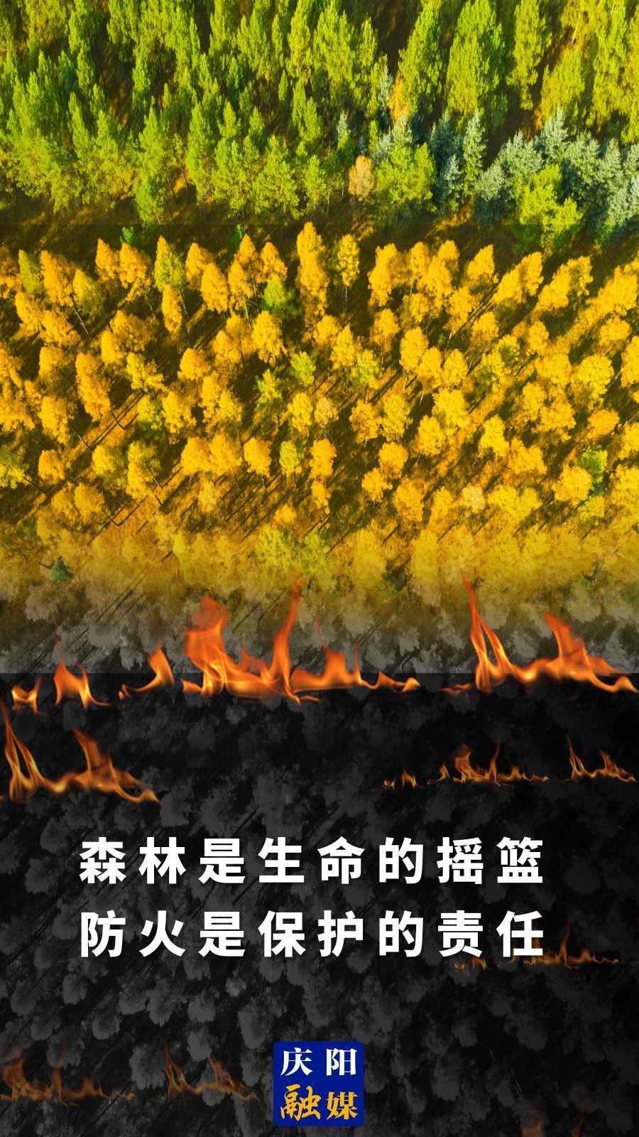 【微海報(bào)】森林是生命的搖籃 防火是保護(hù)的責(zé)任