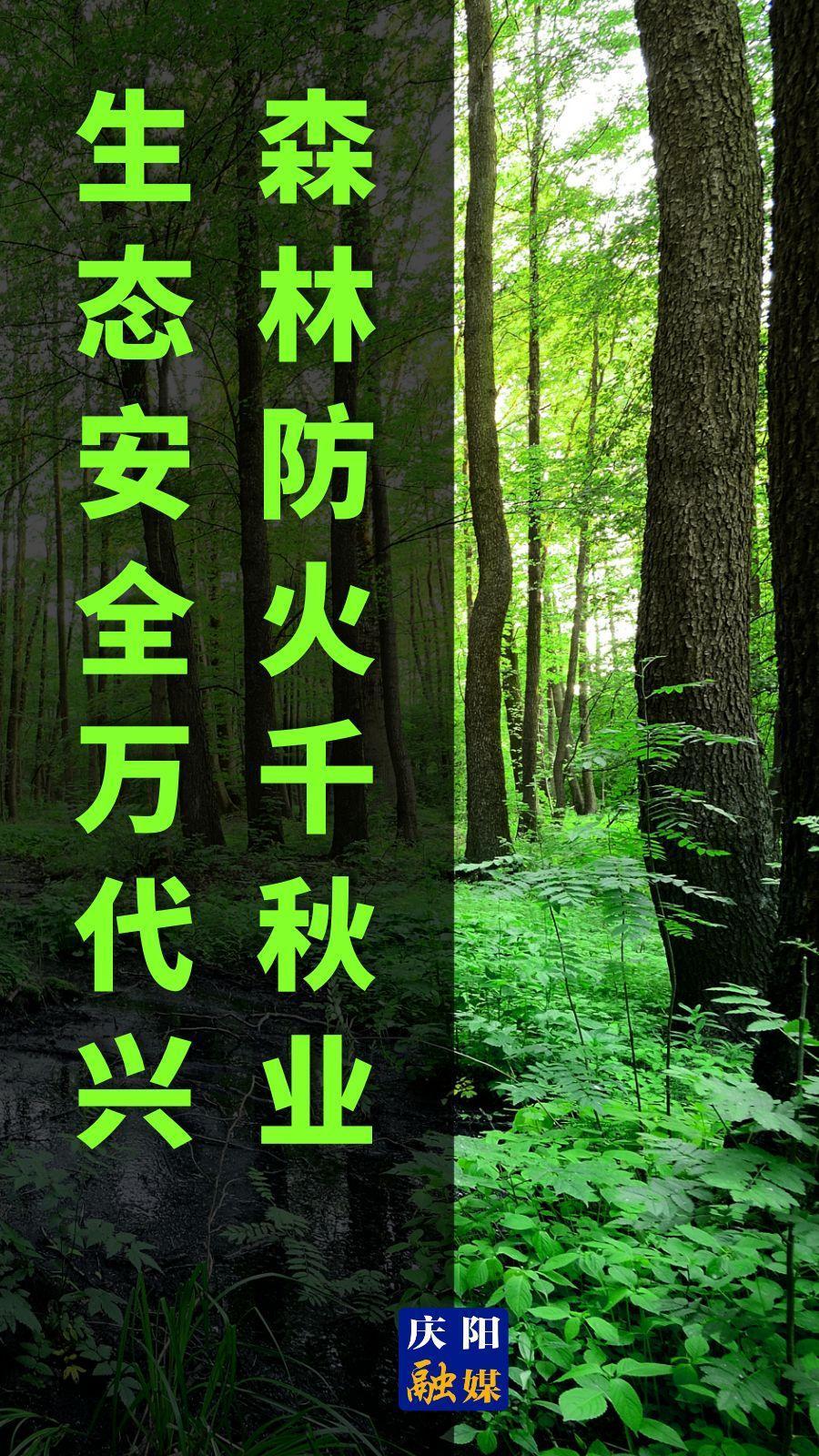 【微海報(bào)】森林防火千秋業(yè) 生態(tài)安全萬(wàn)代興