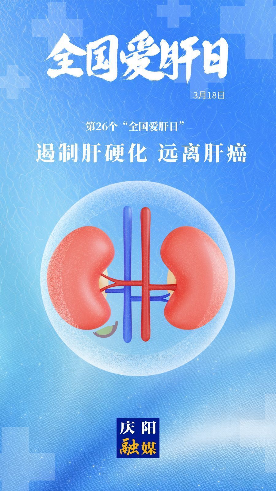 【微海報(bào)】全國(guó)愛(ài)肝日丨遏制肝硬化 遠(yuǎn)離肝癌