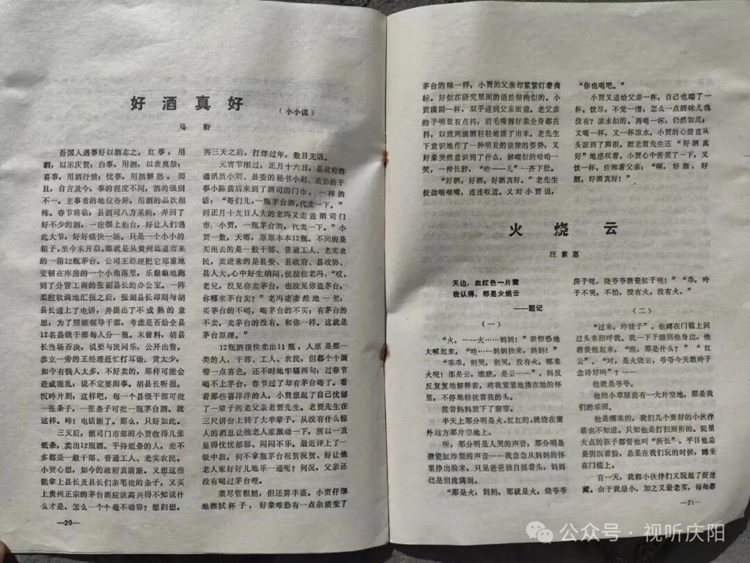 一點(diǎn)慶陽 名家有約 | 書籍之外的閱讀（馬野）