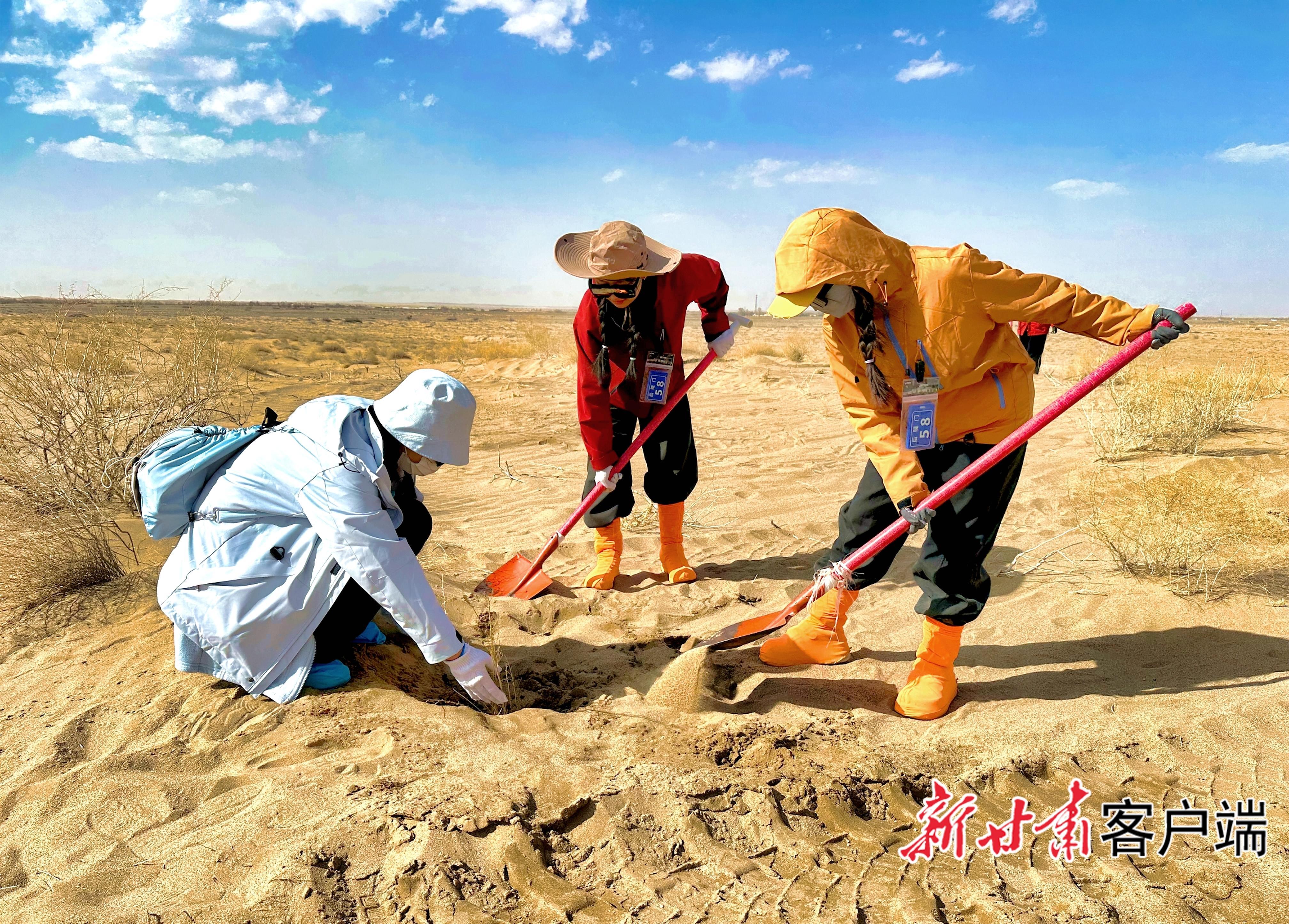 跨越山海的綠色接力——全國各地志愿者踴躍參與2026年“請(qǐng)到民勤種棵樹”活動(dòng)