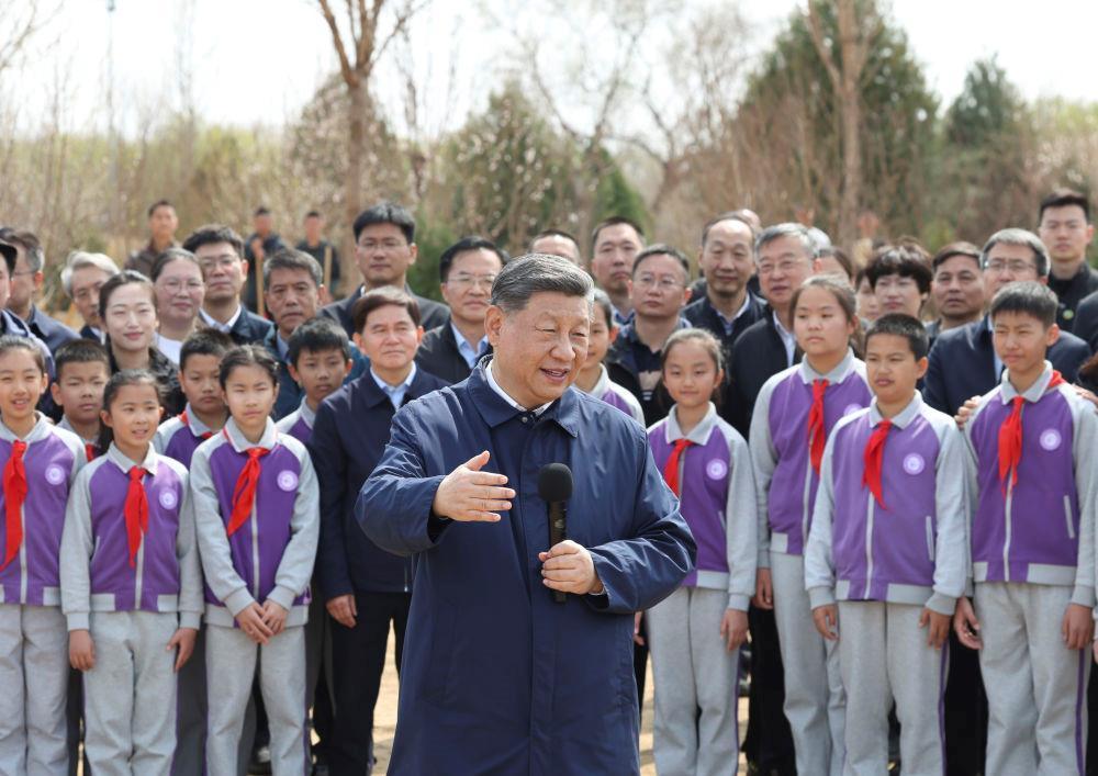 時政微觀察丨草木植成，國之富也