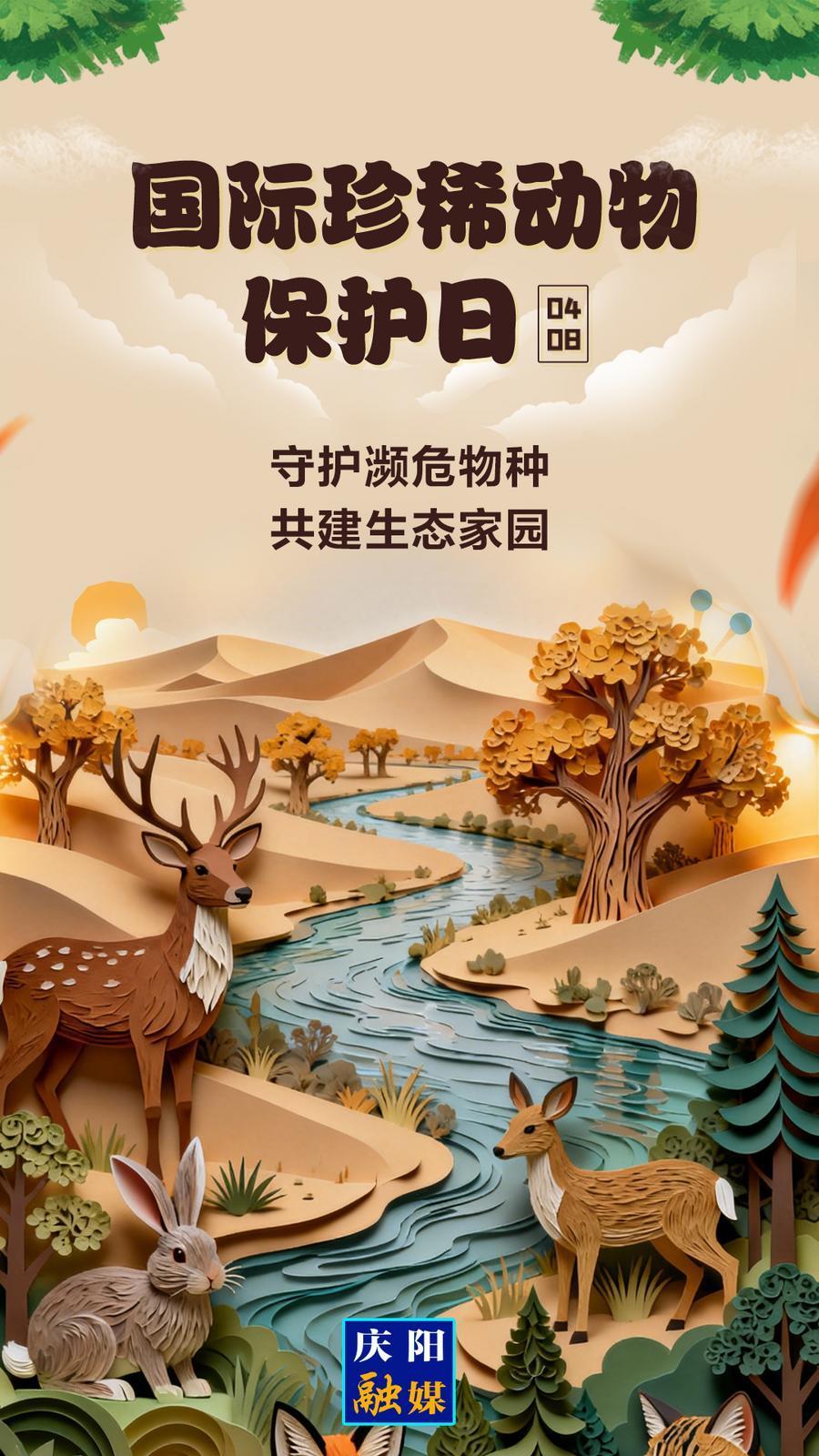 【微海報】國際珍稀動物保護日丨守護瀕危物種 共建生態(tài)家園