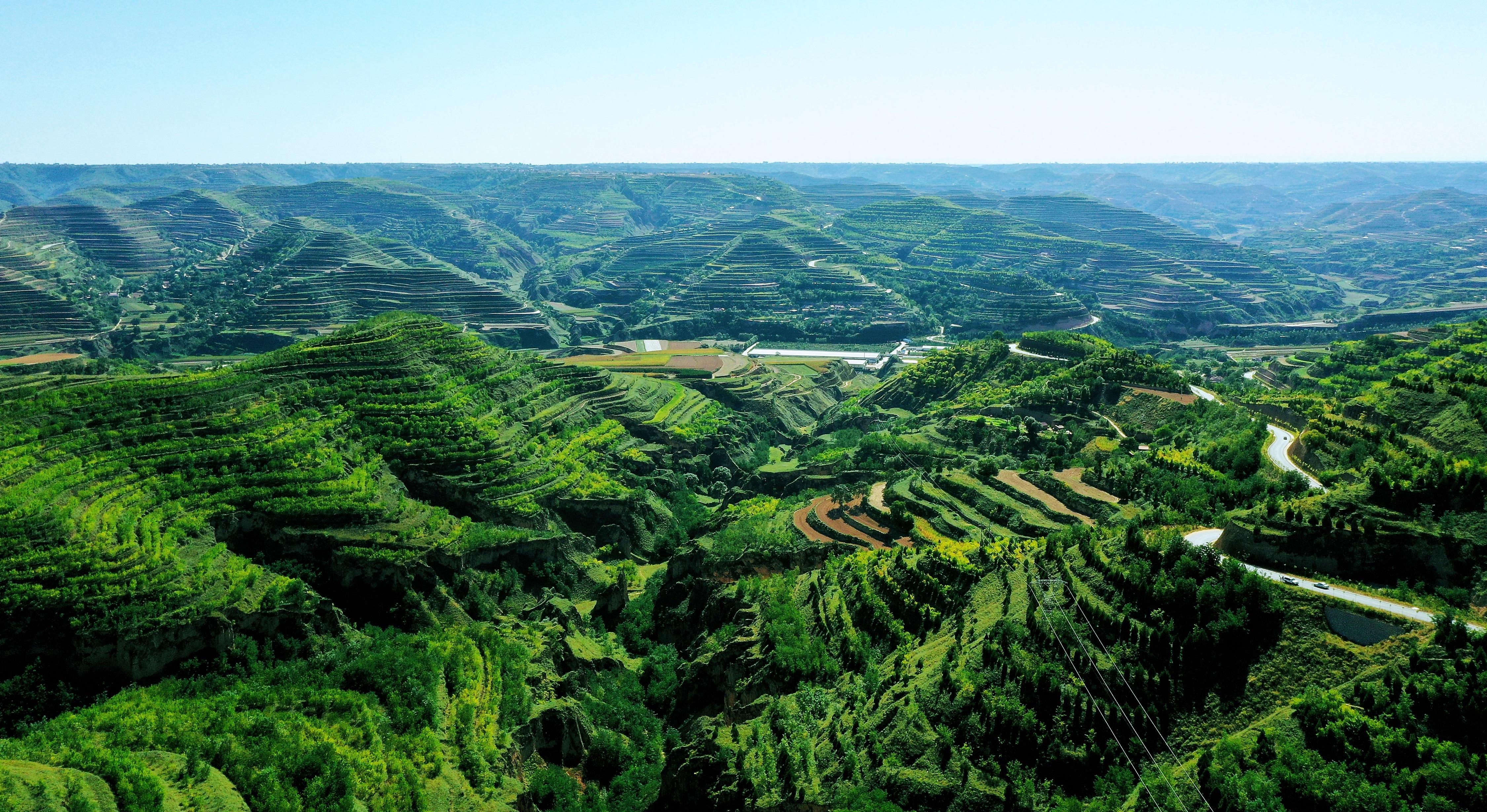 鎮(zhèn)原縣  推動國土綠化繪就生態(tài)建設底色