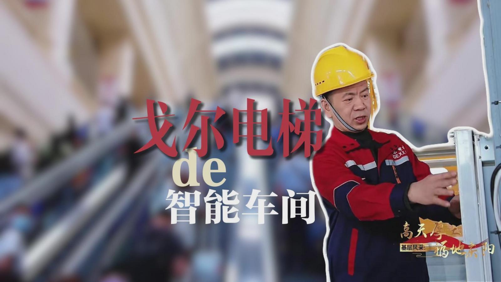 【高天厚土 福地慶陽(yáng)·基層風(fēng)采錄】⑤《戈?duì)栯娞莸闹悄苘囬g》