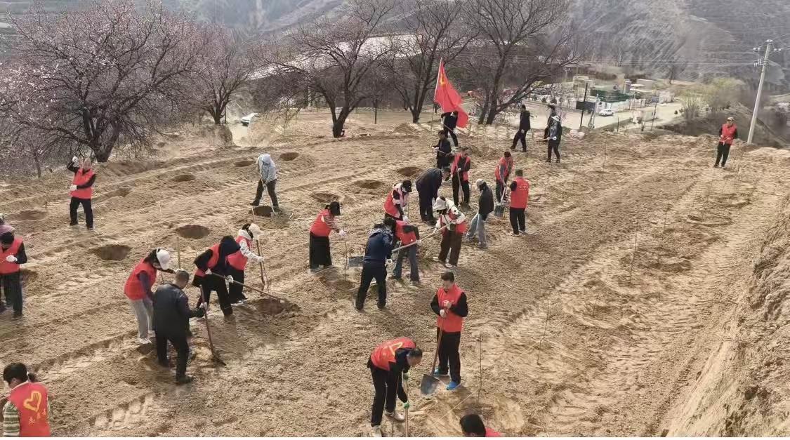 慶城：以“黨建+”模式激活春耕生產(chǎn)“紅色動能”