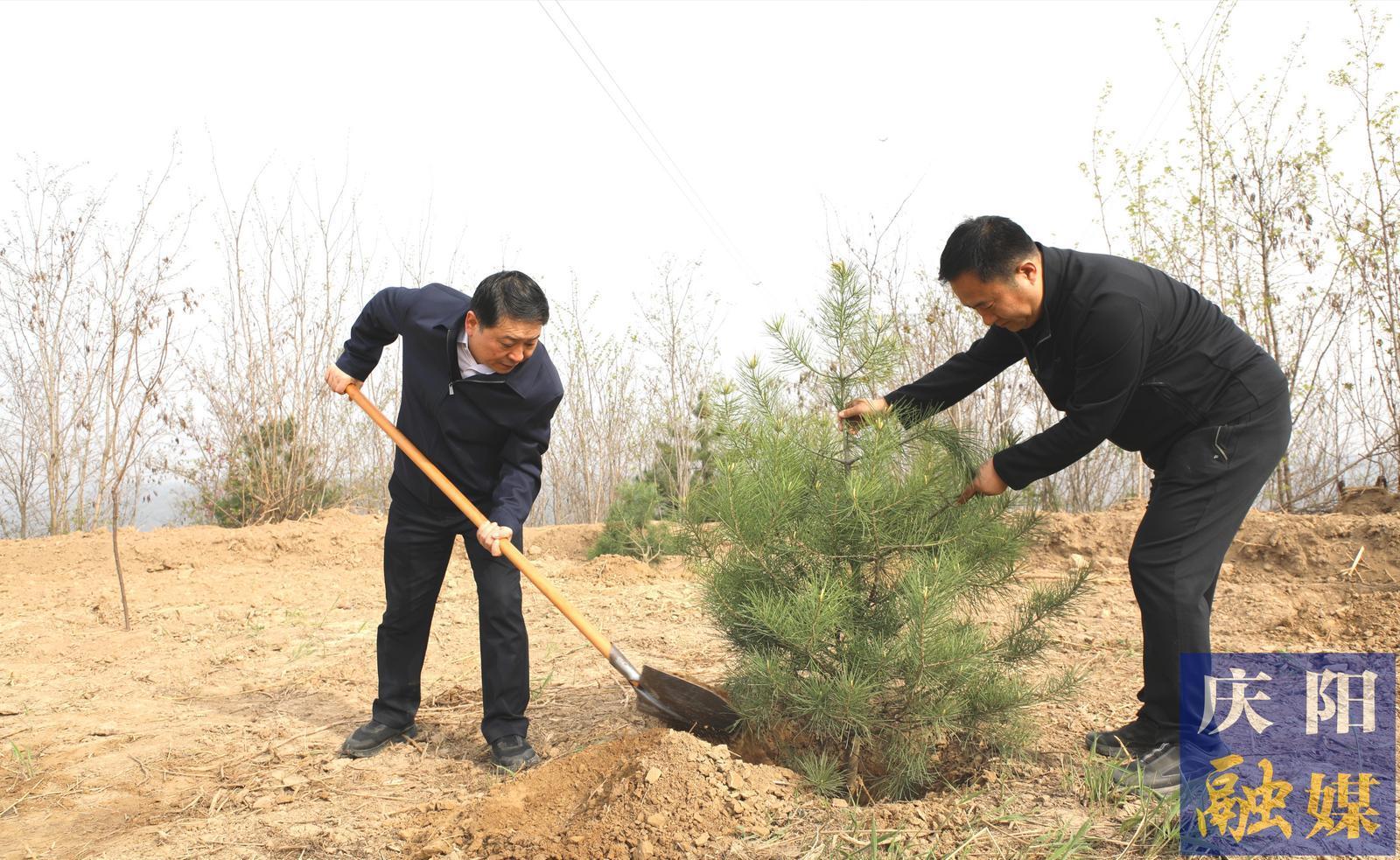 慶陽市2026年市級(jí)機(jī)關(guān)義務(wù)植樹活動(dòng)在西峰區(qū)舉行