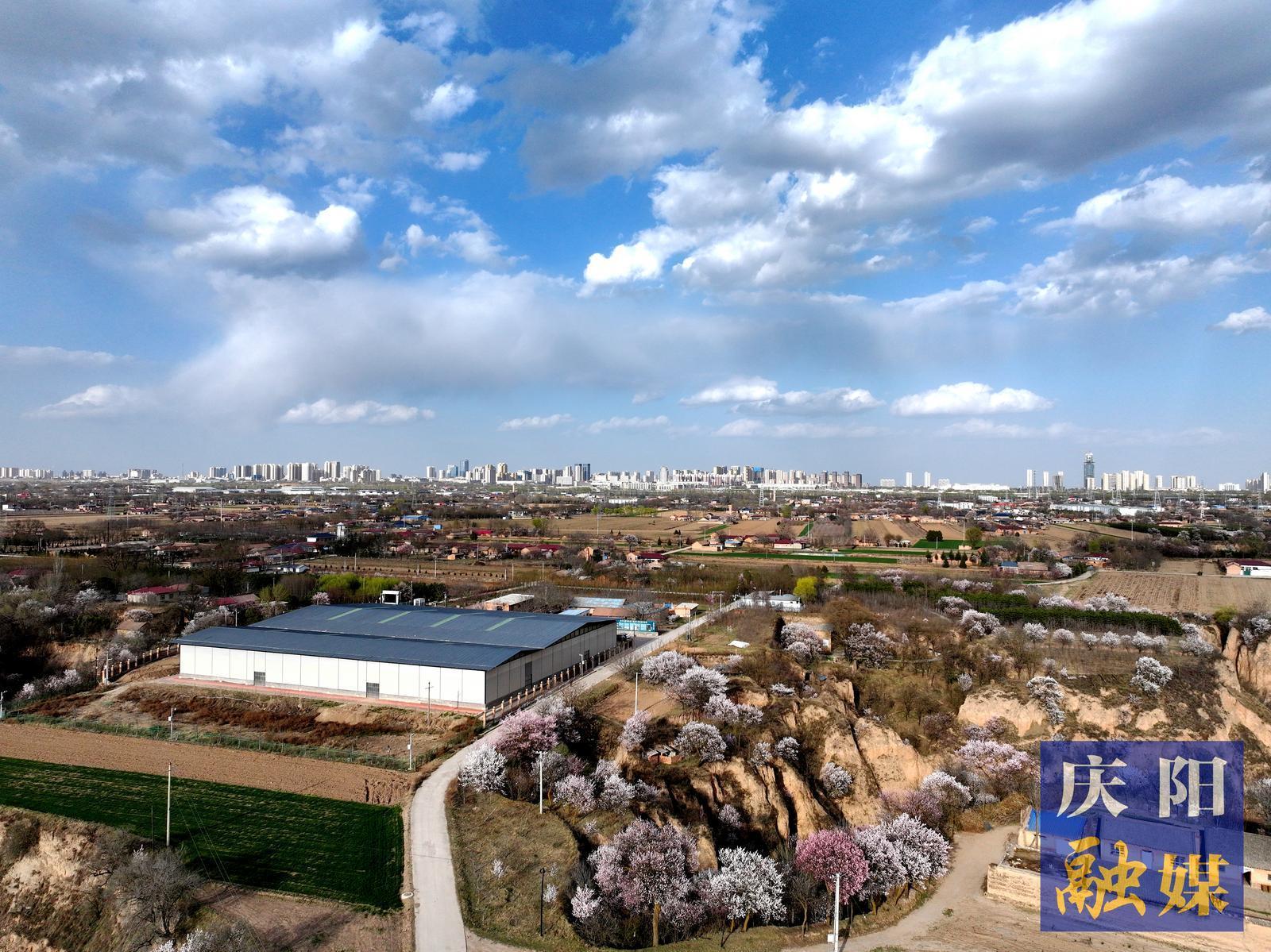 【攝影專題】黃土藏古邑 陶光耀文明 ——甘肅慶陽南佐遺址考古發(fā)掘紀實